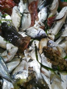 San Benedetto: the catch of the day at the fish market